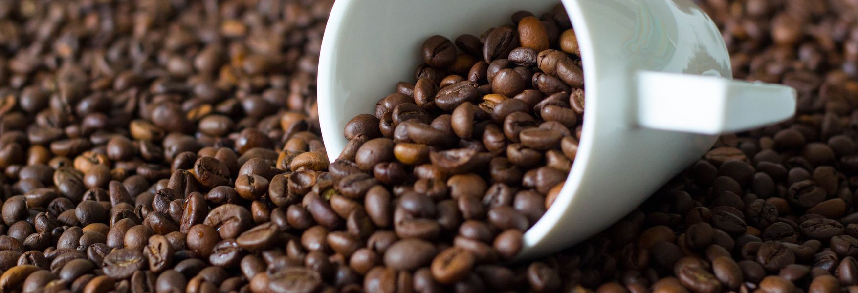 Café: aprende a degustarlo como todo un experto