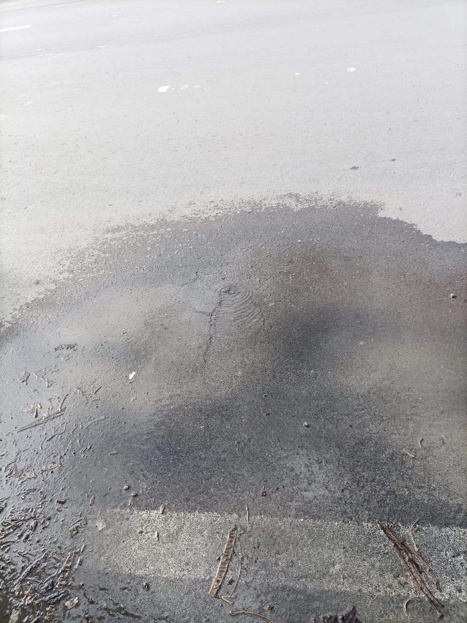 Denuncian fuga de agua en 14 y 15 Carrera Torres.