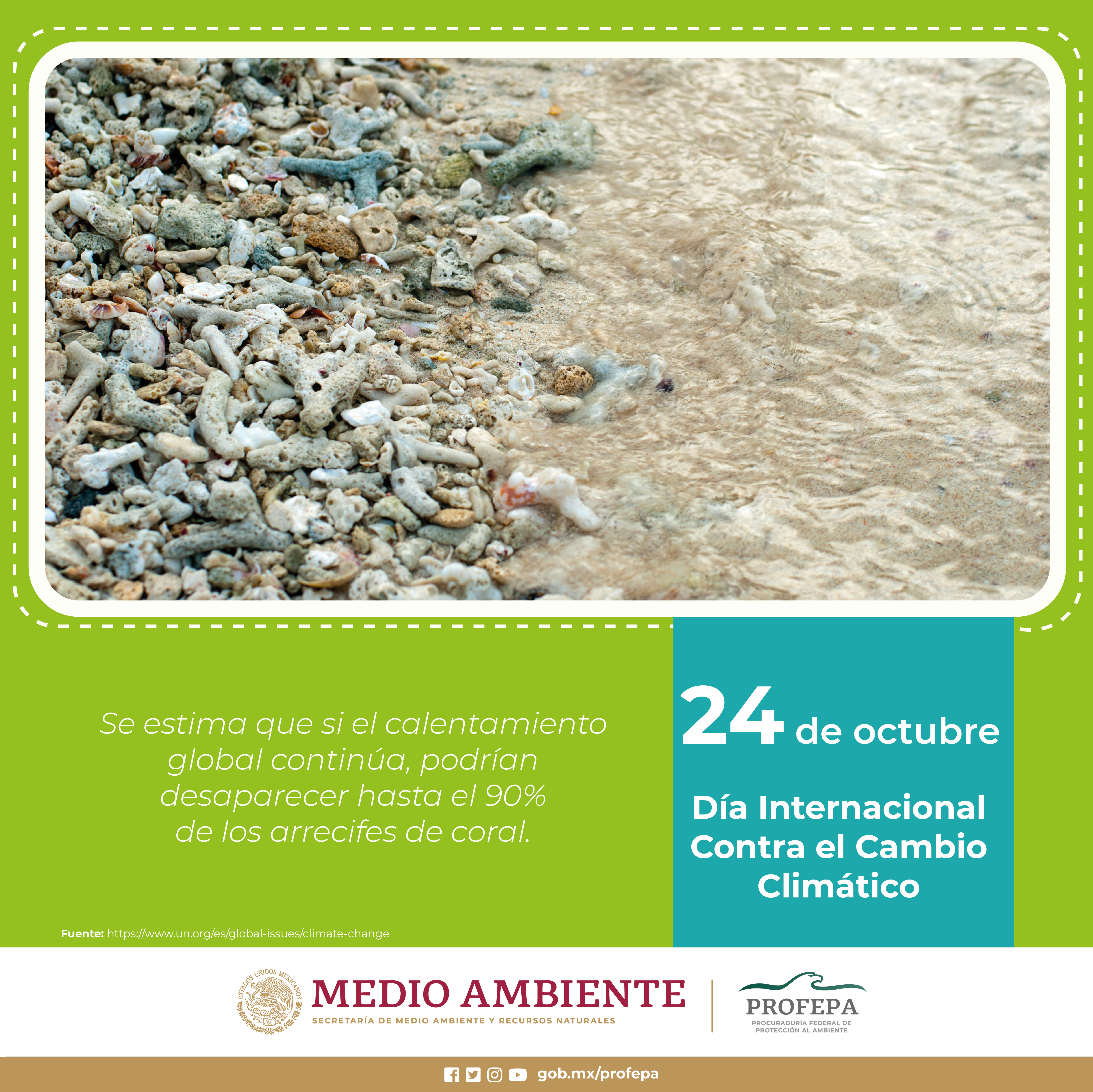 24 de octubre : Día Internacional Contra el Cambio Climático