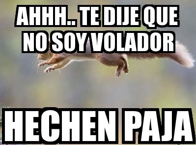 !!Hechen paja!!