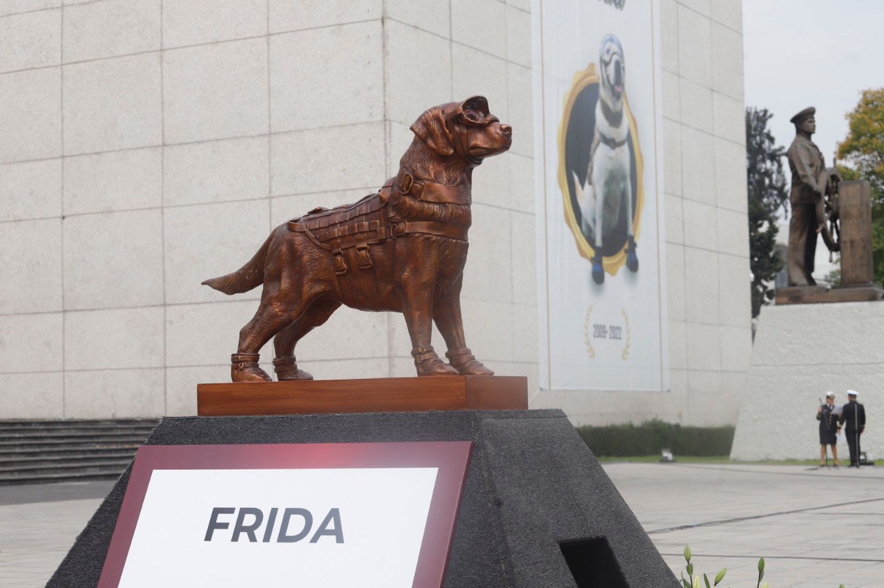 Así despidió la Secretaría de Marina a ‘Frida’