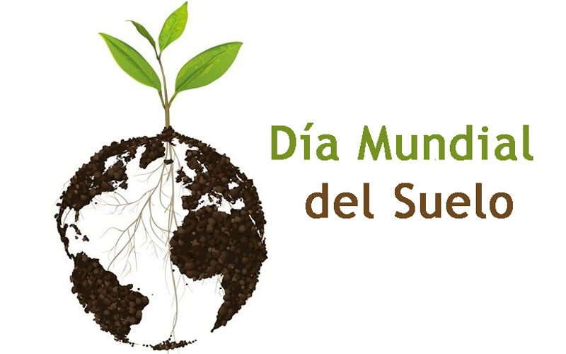 5 de diciembre, Día Mundial del Suelo