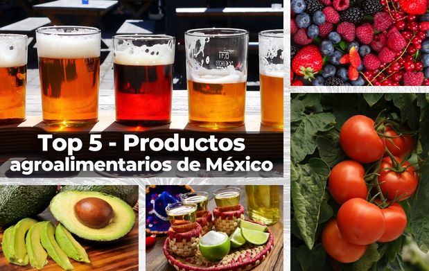 Top 5 productos agroalimentarios de México