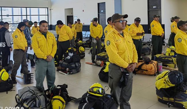 Brigadas de México en Chile sofocan incendios en 291 hectáreas