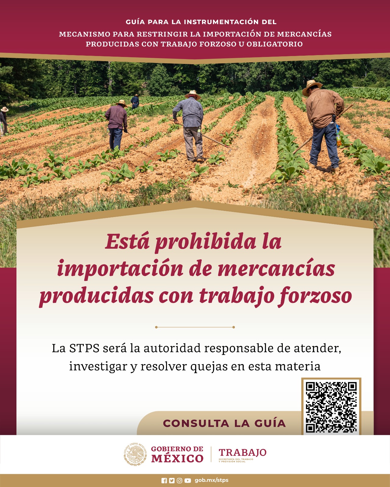Entra en vigor el Acuerdo para prohibir la importación de mercancías producidas con trabajo forzoso