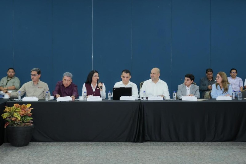 Impulsa Mónica Villarreal mayor desarrollo de la región metropolitana