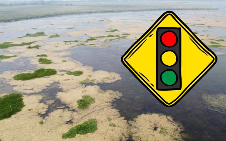 Actualizan semáforo del agua en Tamaulipas: Hay 10 municipios en color rojo y 33 en verde