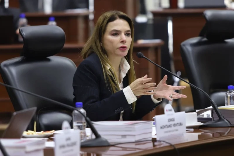 Aplicará INE «modelo de riesgo» para detectar candidaturas con presuntos nexos criminales