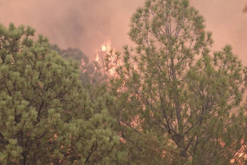 Diputada priista pide reasignación de presupuesto para combatir incendios