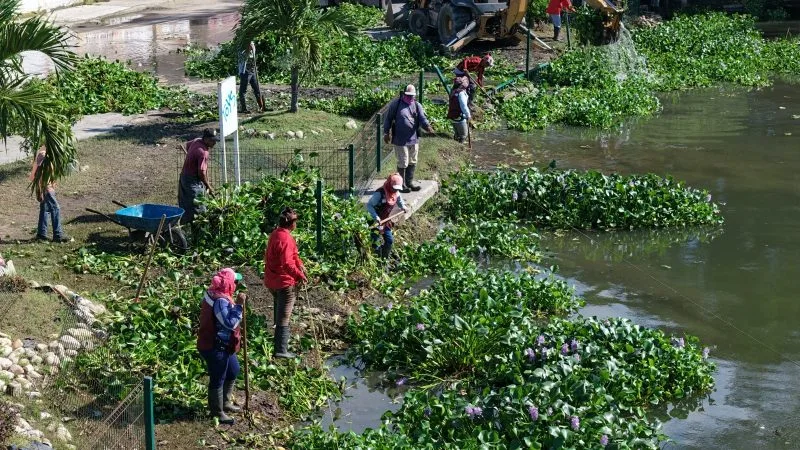 En Madero avanza limpieza integral en lagunas interiores: Erasmo González
