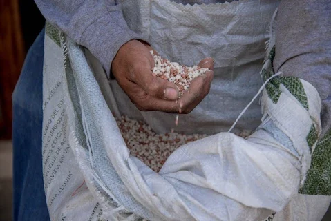 Sader entrega cifra histórica de fertilizantes en 2025: Un millón 44 mil toneladas