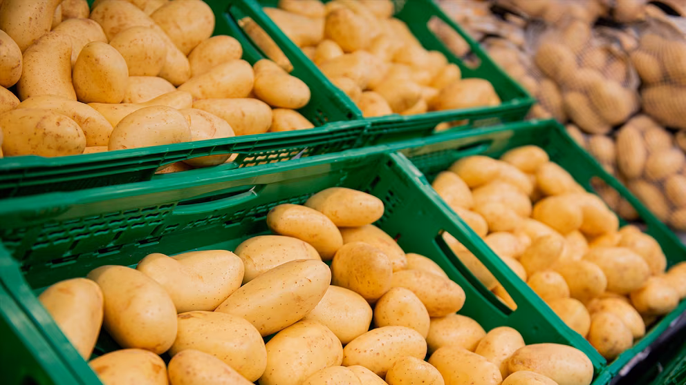 Los alimentos que contienen cadmio, el metal pesado cancerígeno que en Francia califican de “bomba sanitaria” y ahora quieren limitar