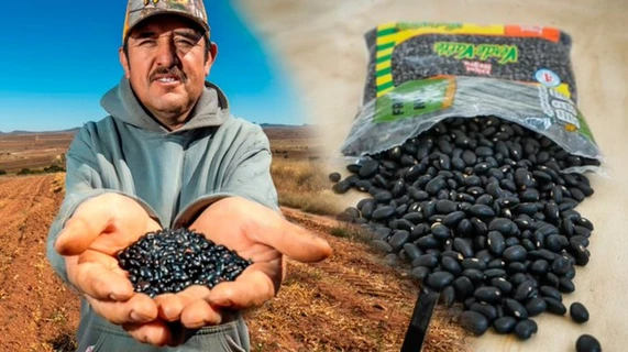 Sader y Verde Valle acuerdan compra de frijol a pequeños y medianos productores