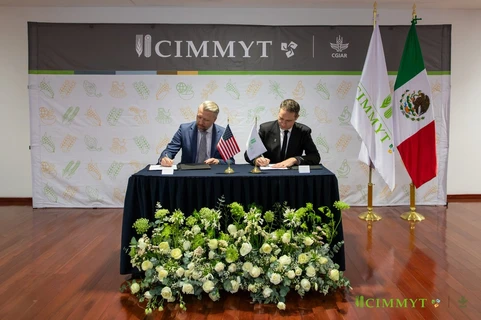 EU destina 40 mdd a ciencia agrícola de México para reforzar seguridad alimentaria