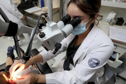 México destinó 561 mdp en 2025 a impulsar investigación y desarrollo tecnológico