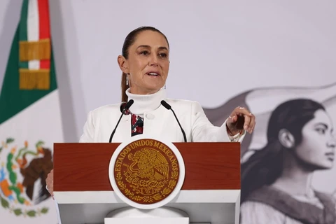 Equipo legal de Sheinbaum analiza acciones legales contra Musk por acusarla de vínculos con el ‘narco’
