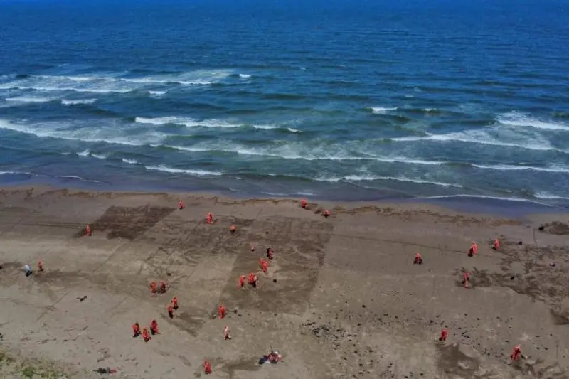 En marcha operativo de saneamiento en el Golfo de México; van 128 toneladas de residuos recolectados