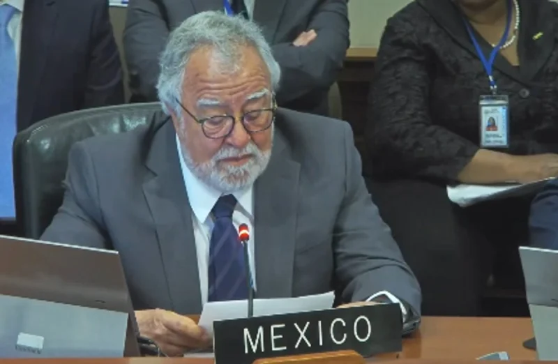Llama México en OEA a fortalecer cooperación contra el tráfico de armas de fuego